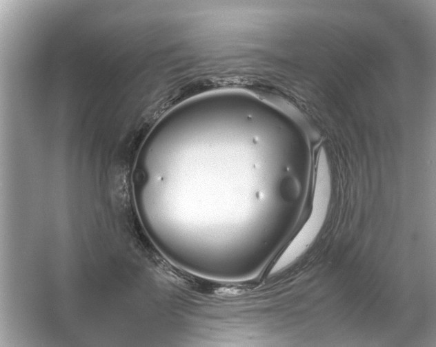 X0000067000699200604072149