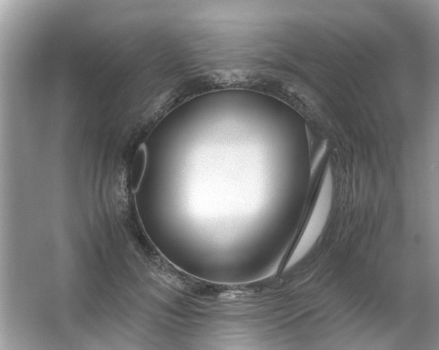 X0000067000700200604072149