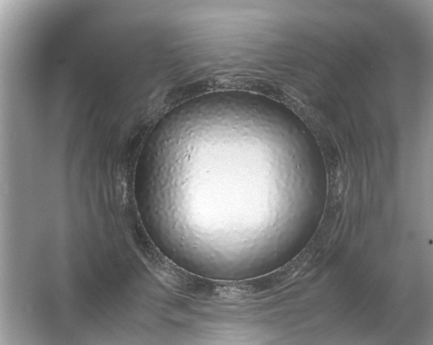 X0000067000703200604072149