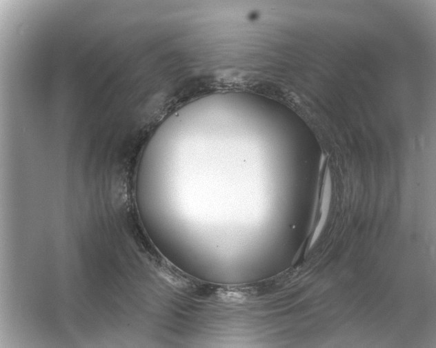 X0000067000706200604072149