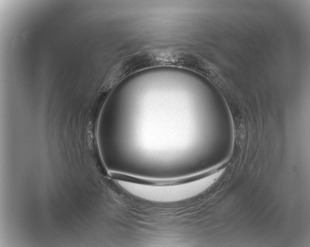 X0000067000707200604072149