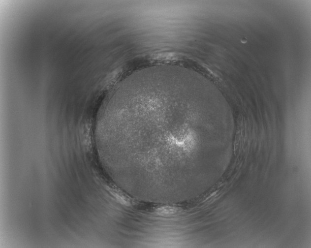 X0000067000708200604072149