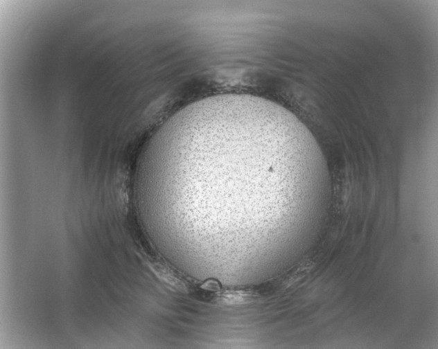 X0000067000710200604072149