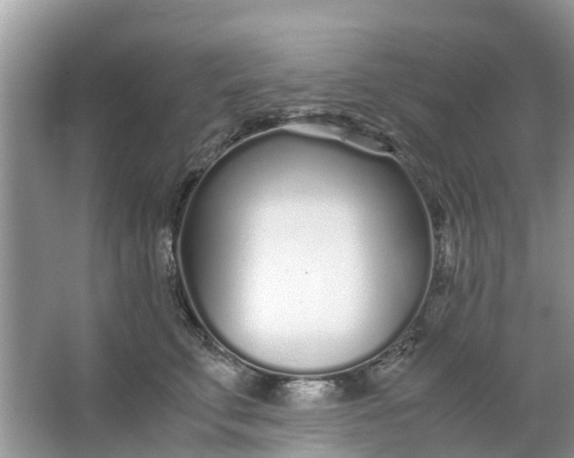 X0000067000711200604072149