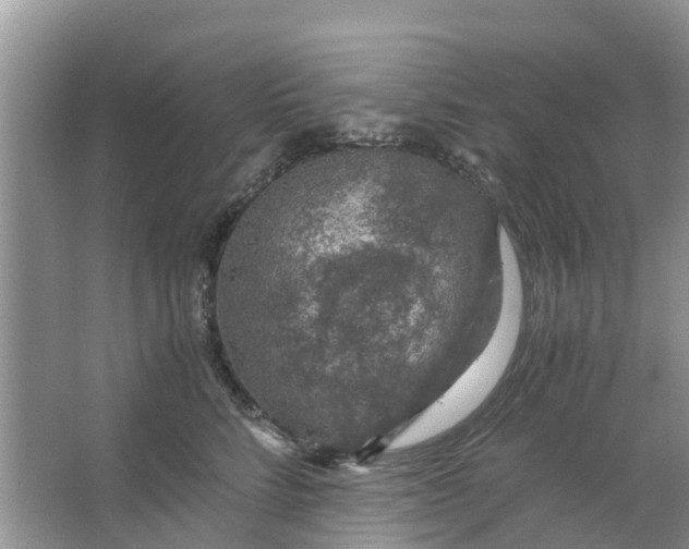 X0000067000712200604072149