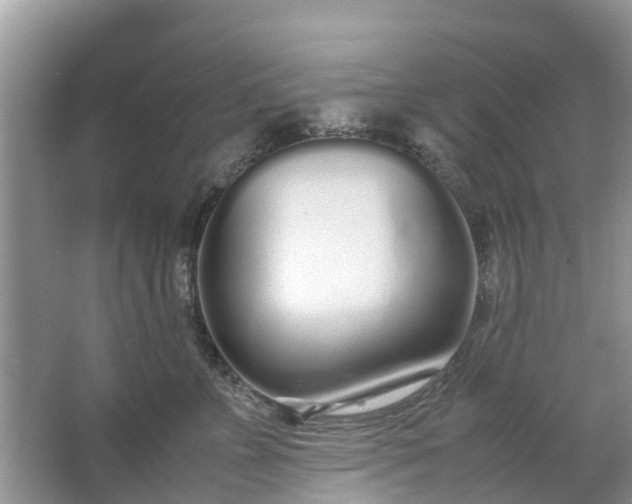 X0000067000715200604072149