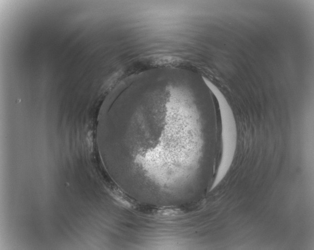 X0000067000716200604072149