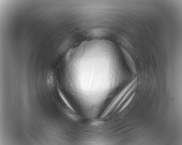 X0000067000718200604072149