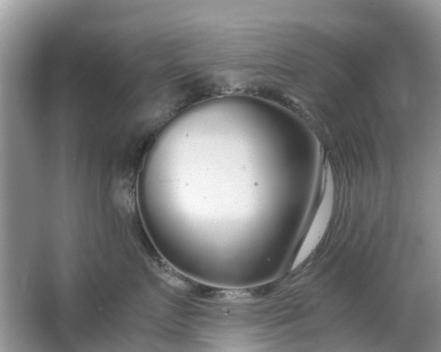 X0000067000719200604072149