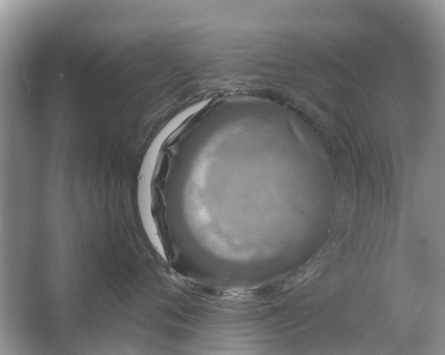 X0000067000720200604072149