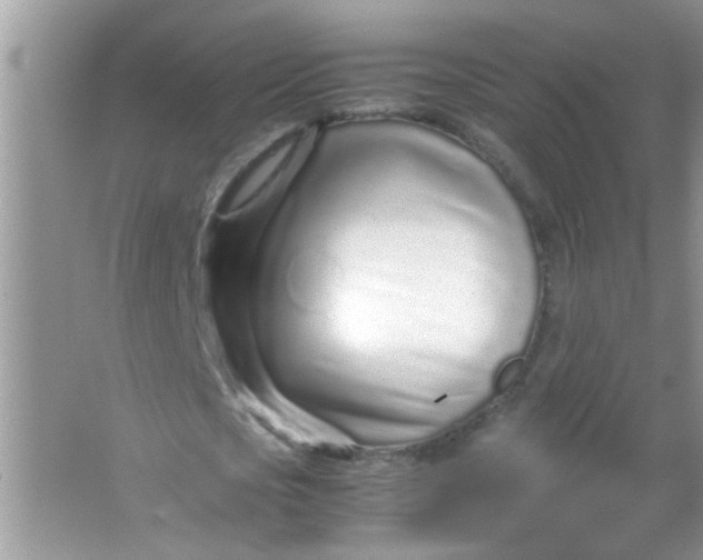 X0000067000721200604072148