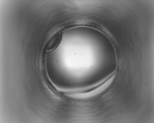 X0000067000722200604072148