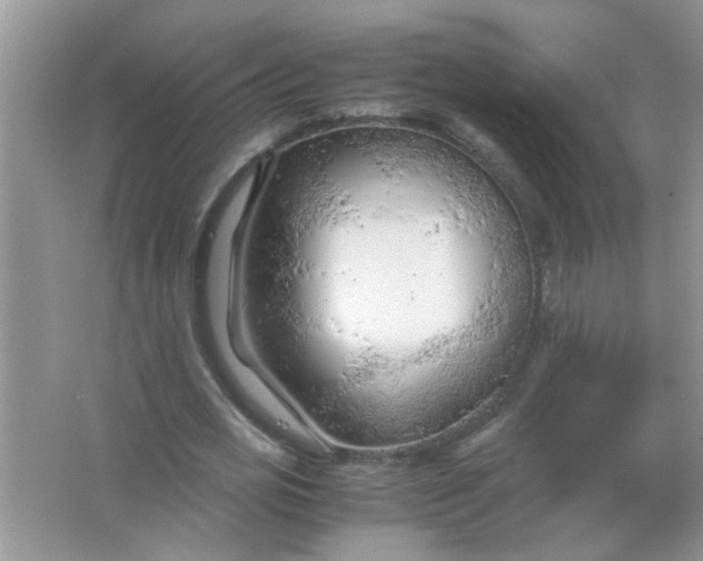 X0000067000725200604072148