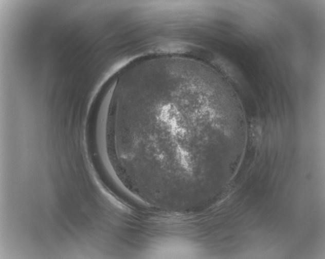 X0000067000726200604072148