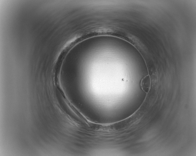 X0000067000727200604072148