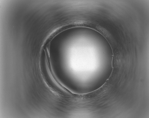 X0000067000728200604072148