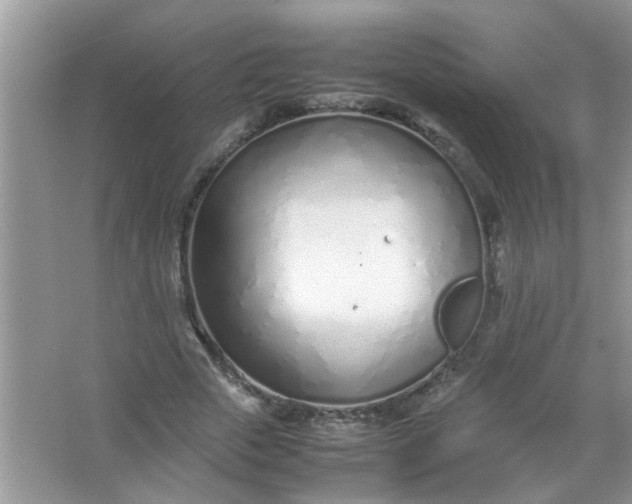 X0000067000729200604072148