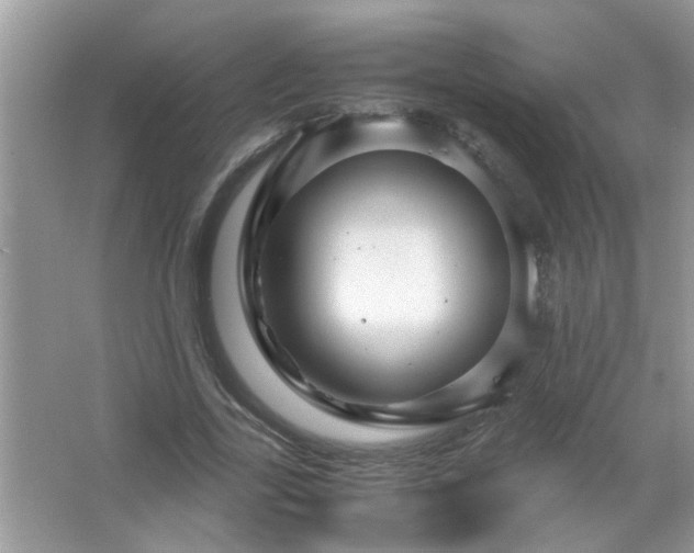 X0000067000731200604072148