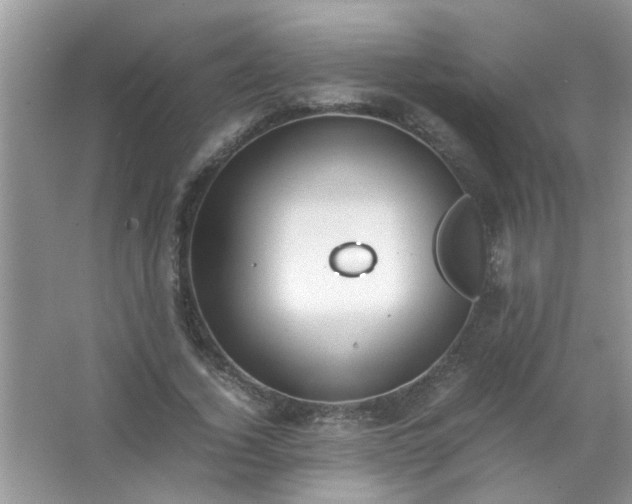 X0000067000732200604072148