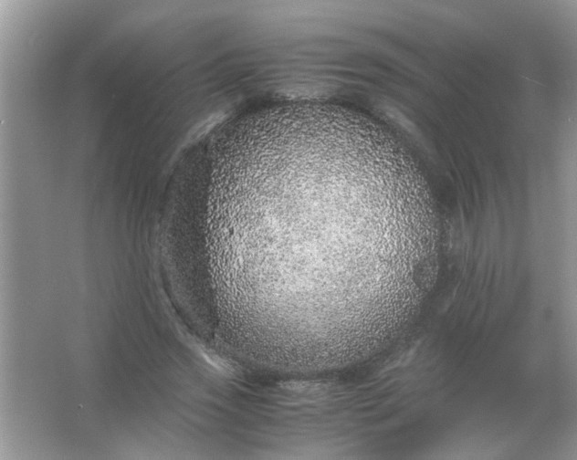 X0000067000733200604072148