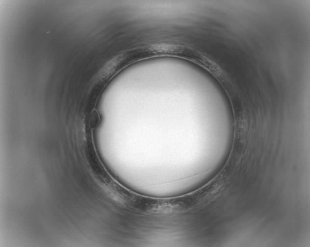 X0000067000734200604072148