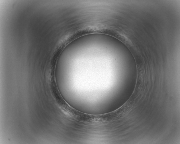 X0000067000736200604072148