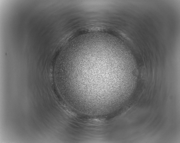 X0000067000737200604072148