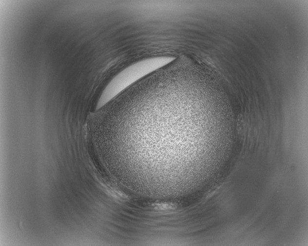 X0000067000741200604072148