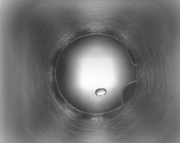 X0000067000744200604072148