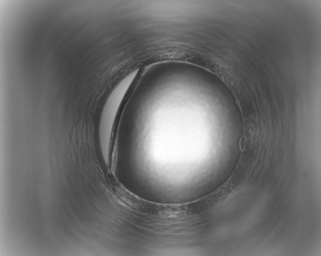 X0000067000745200604072148