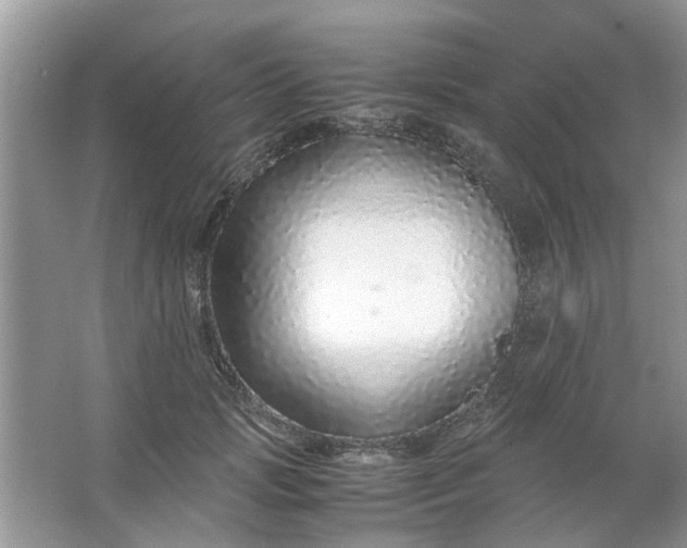 X0000067000749200604072148