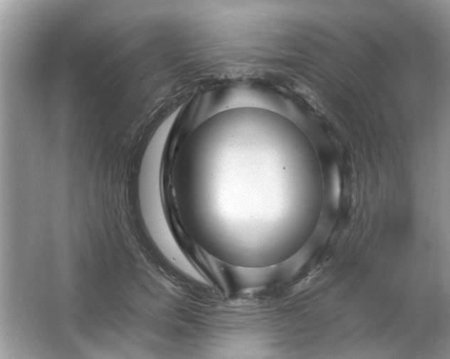 X0000067000750200604072148