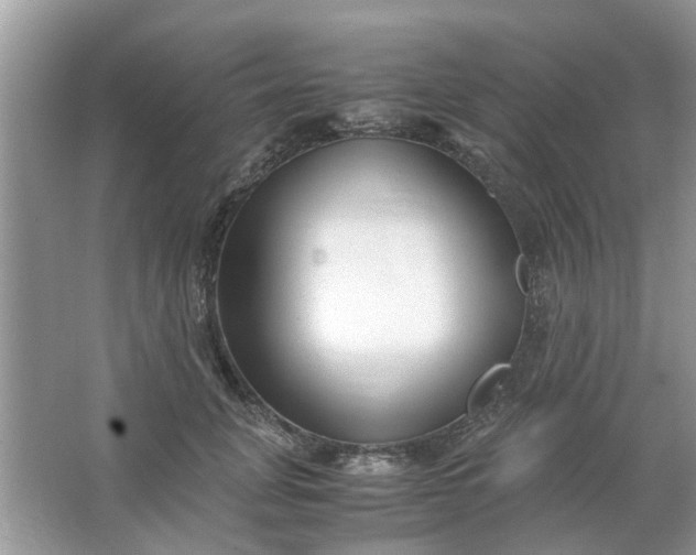 X0000067000751200604072148