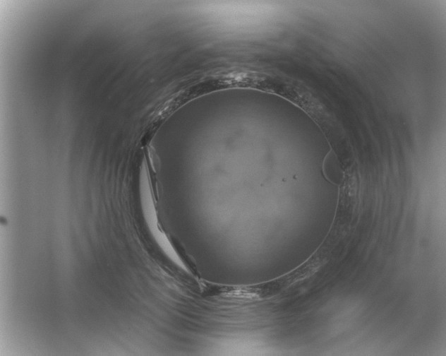 X0000067000754200604072149