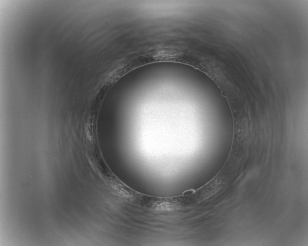 X0000067000755200604072149