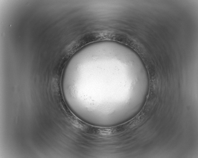 X0000067000757200604072149