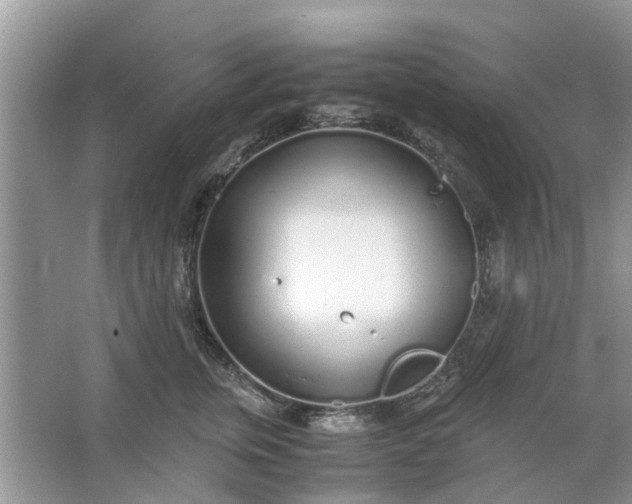 X0000067000759200604072149