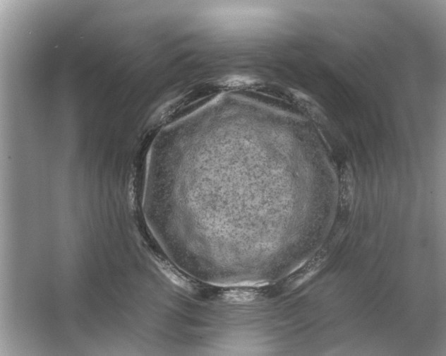 X0000067000762200604072149