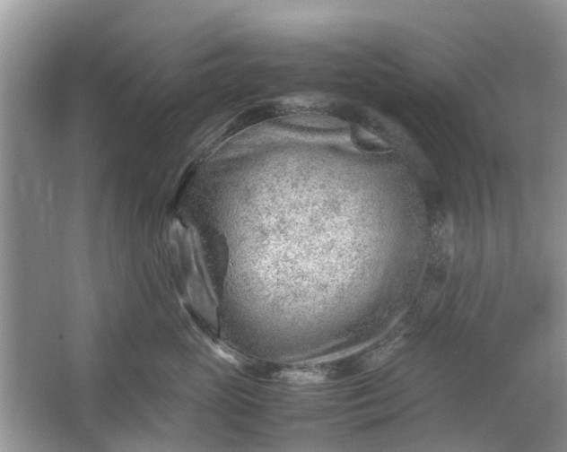 X0000067000765200604072149