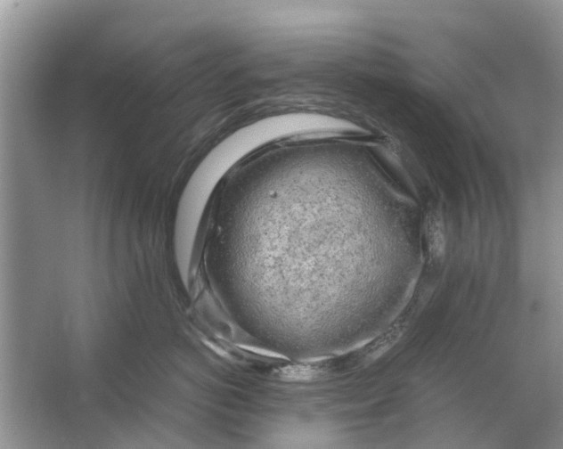 X0000067000766200604072149