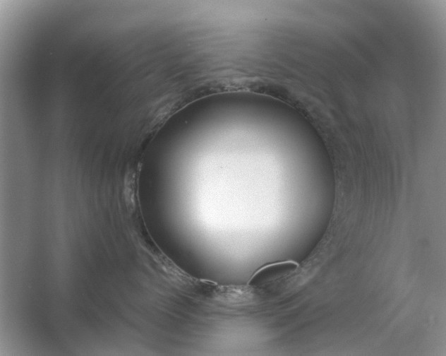 X0000067000768200604072149