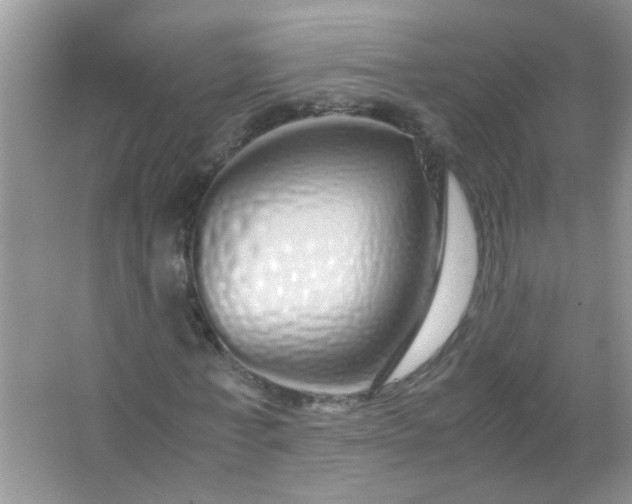 X0000067000771200604072148