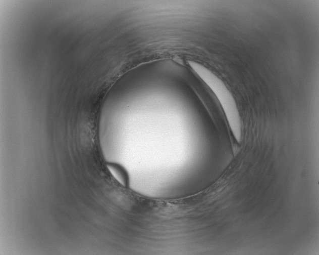 X0000067000772200604072148