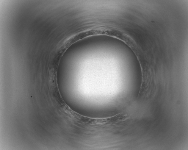 X0000067000773200604072148