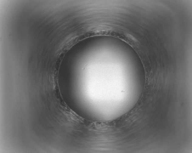 X0000067000774200604072148