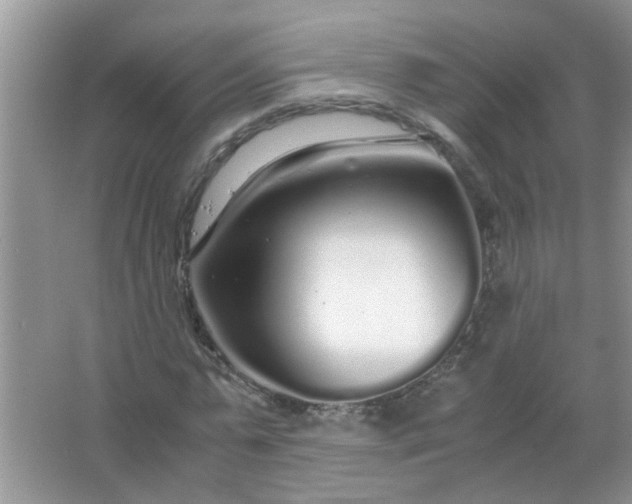 X0000067000775200604072148