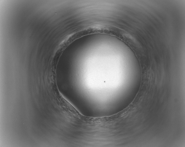 X0000067000776200604072148