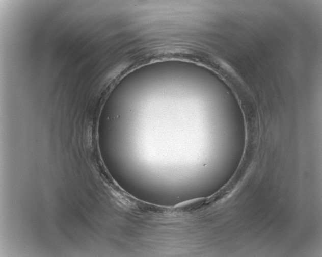 X0000067000777200604072148