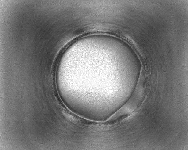 X0000067000779200604072148