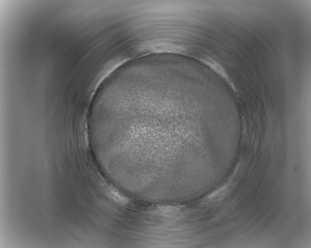 X0000067000782200604072148